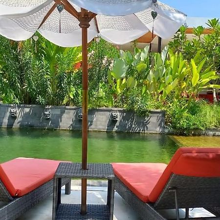 Le Chien Rouge Hotel Lovina Kültér fotó