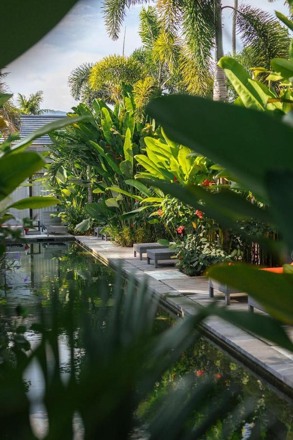 Le Chien Rouge Hotel Lovina Kültér fotó